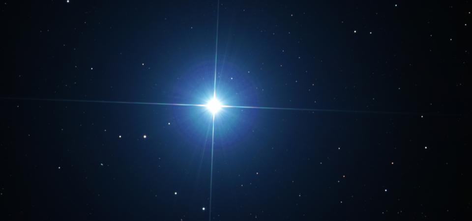 The north star that guides your way
